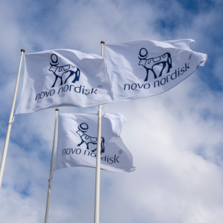 Novo Nordisk Flags