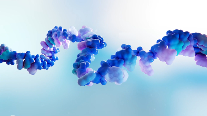 mRNA molecular strain. Courtesy of Moderna.